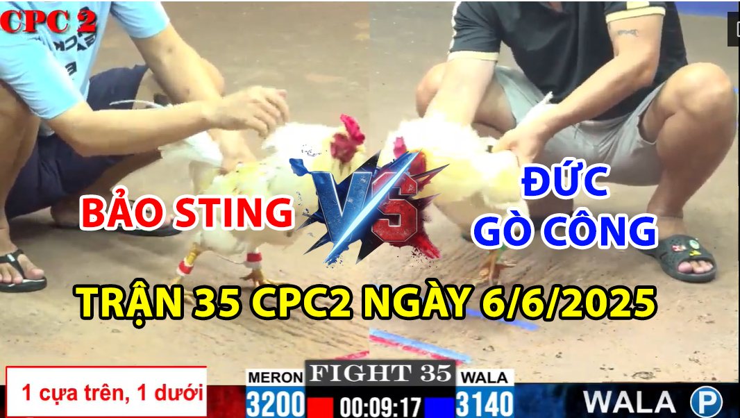 trận 35 cpc2 ngày 6/6/2025 hôm nay giữa bảo sting vs đức gò công