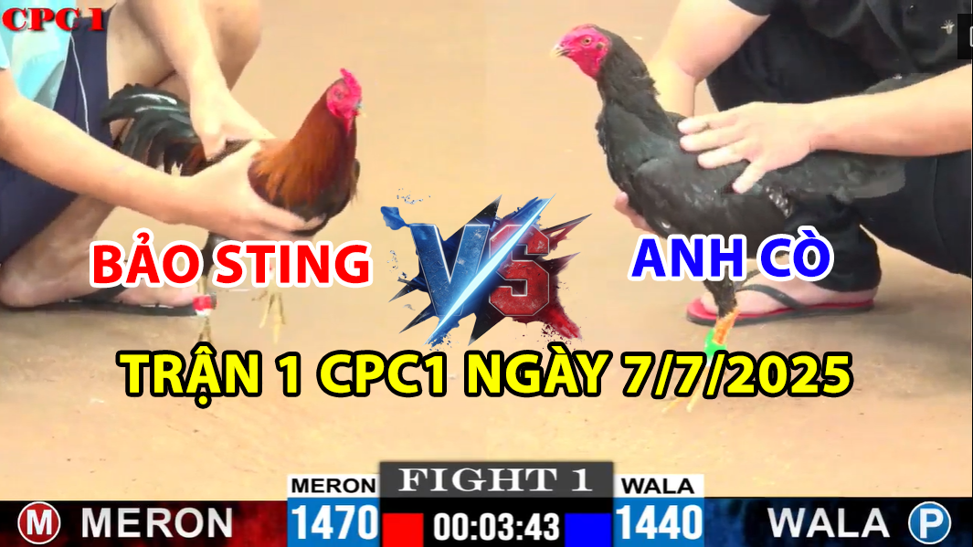 trận 1 cpc1 ngày 7/7/2025 hôm nay giữa bảo sting vs anh cò