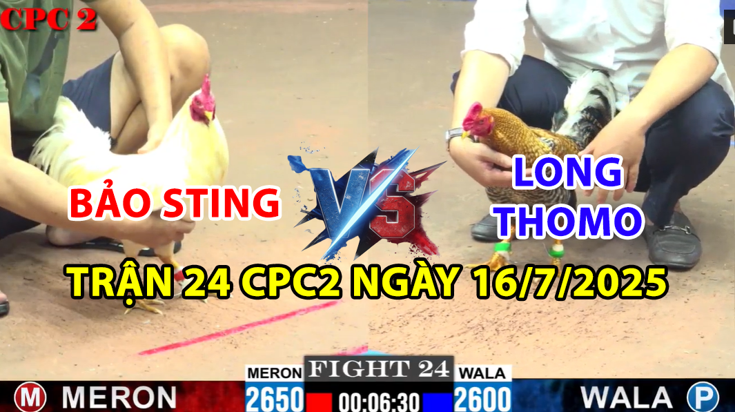 trận 24 cpc2 ngày 16/7/2025 hôm nay giữa long thomo vs bảo sting