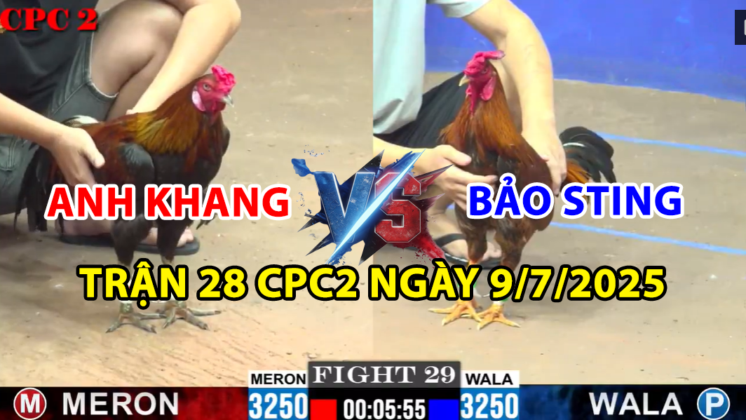trận 29 cpc2 ngày 9/7/2025 hôm nay giữa bảo sting vs anh khang