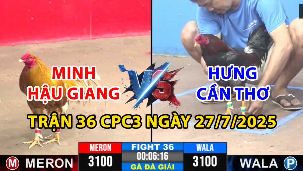 trận 36 cpc3 ngày 27/7/2025 hôm nay giữa hưng cần thơ vs minh hậu giang