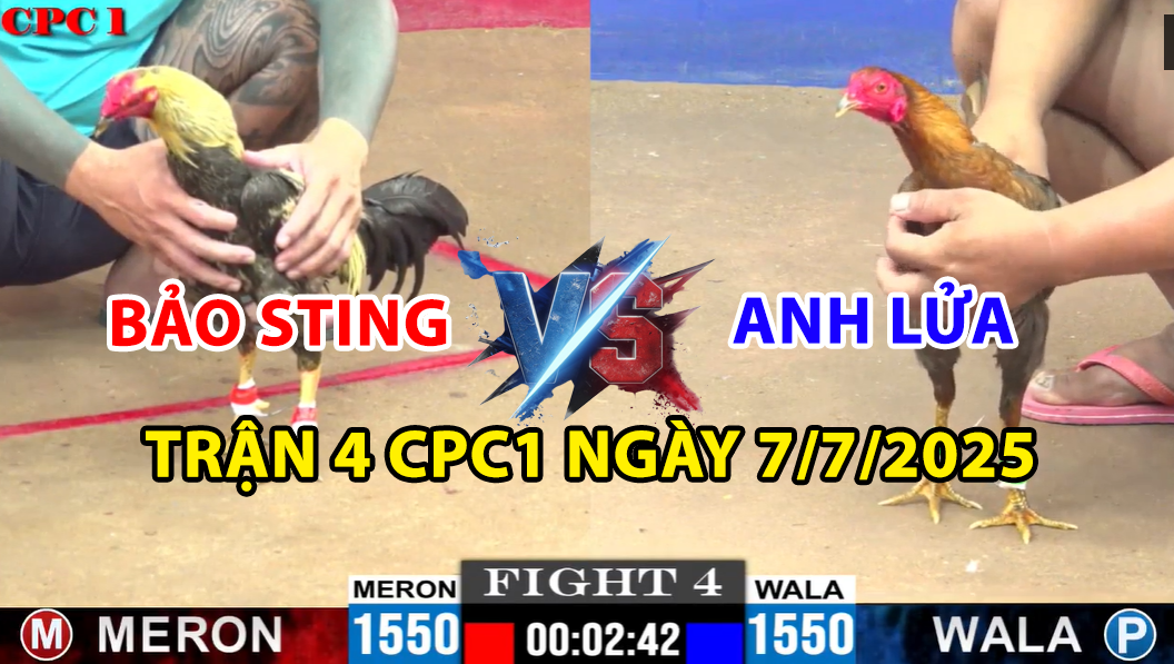 trận 4 cpc1 ngày 7/7/2025 hôm nay giữa bảo sting vs anh lửa