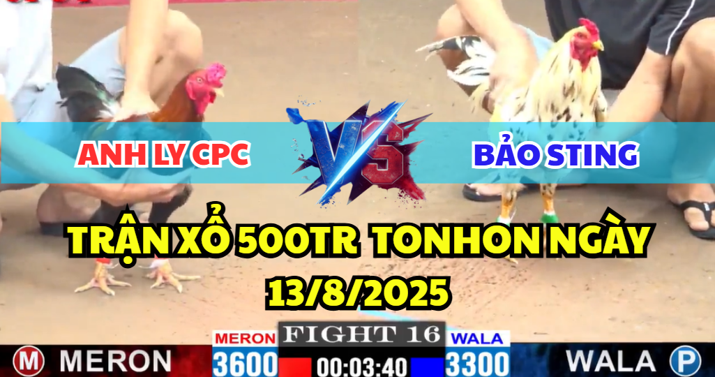 giao lưu xổ 500 giữa bảo sting và anh ly cpc tại tonhon ngày 13/8/2025 hôm nay