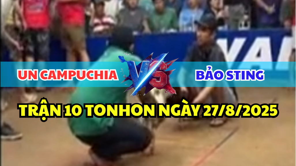 trận 10 bồ tonhon ngày 27/8/2025 hôm nay giữa bảo sting vs anh un campuchia