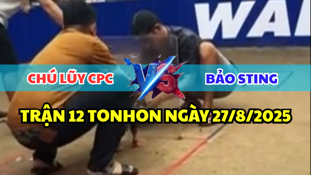trận 12 bồ tonhon ngày 27/8/2025 giữa bảo sting vs chú lũy cpc hôm nay
