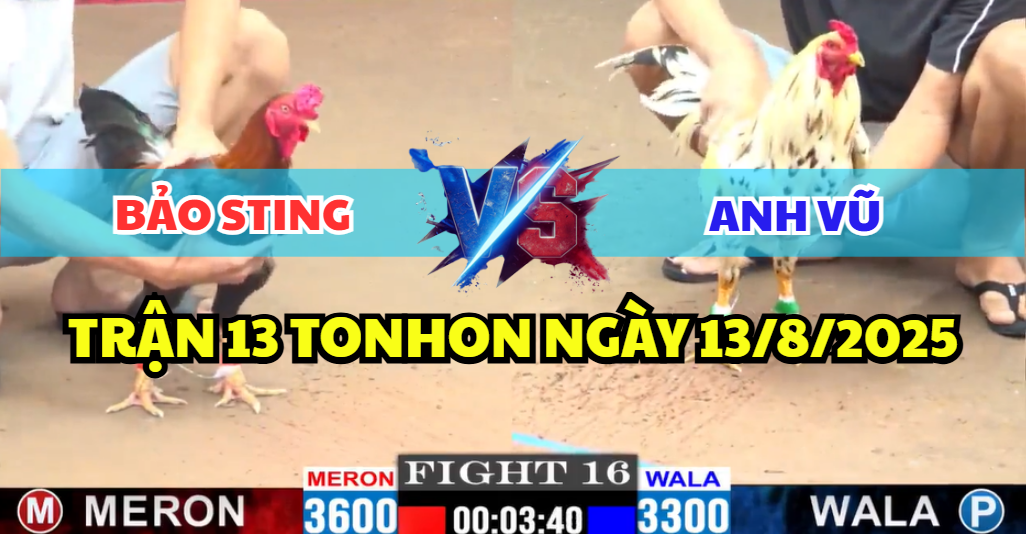 trận 13 tonhon ngày 13/8/2025 hôm nay giữa bảo sting và anh vũ giao lưu xổ 200