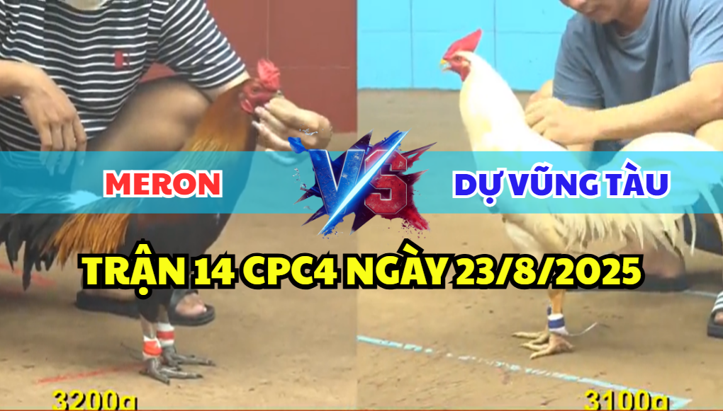 trận 14 cpc4 ngày 23/8/2025 dự vũng tàu hôm nay