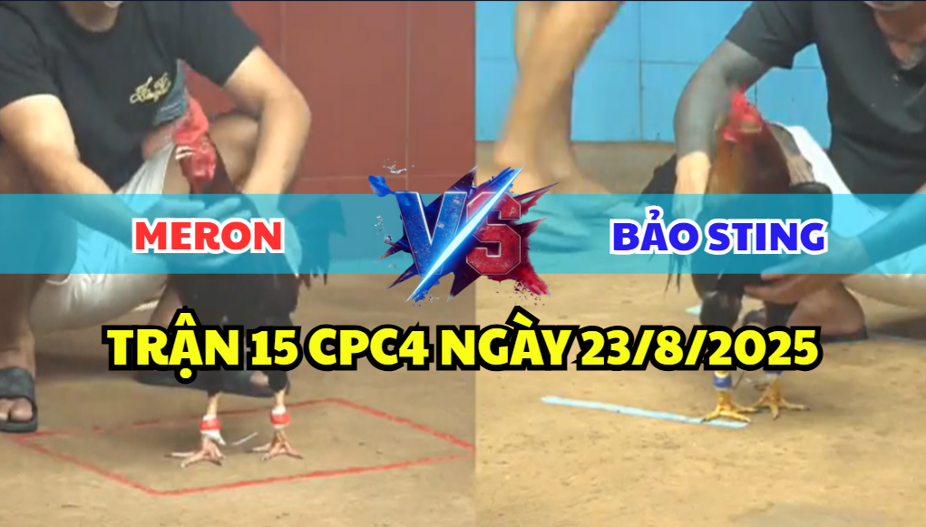 trận 15 cpc4 ngày 23/8/2025 bảo sting hôm nay