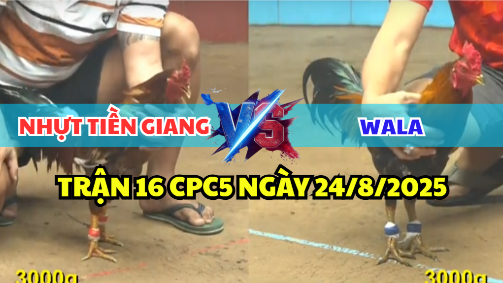 trận 16 cpc5 ngày 24/8/2025 nhựt tiền giang hôm nay