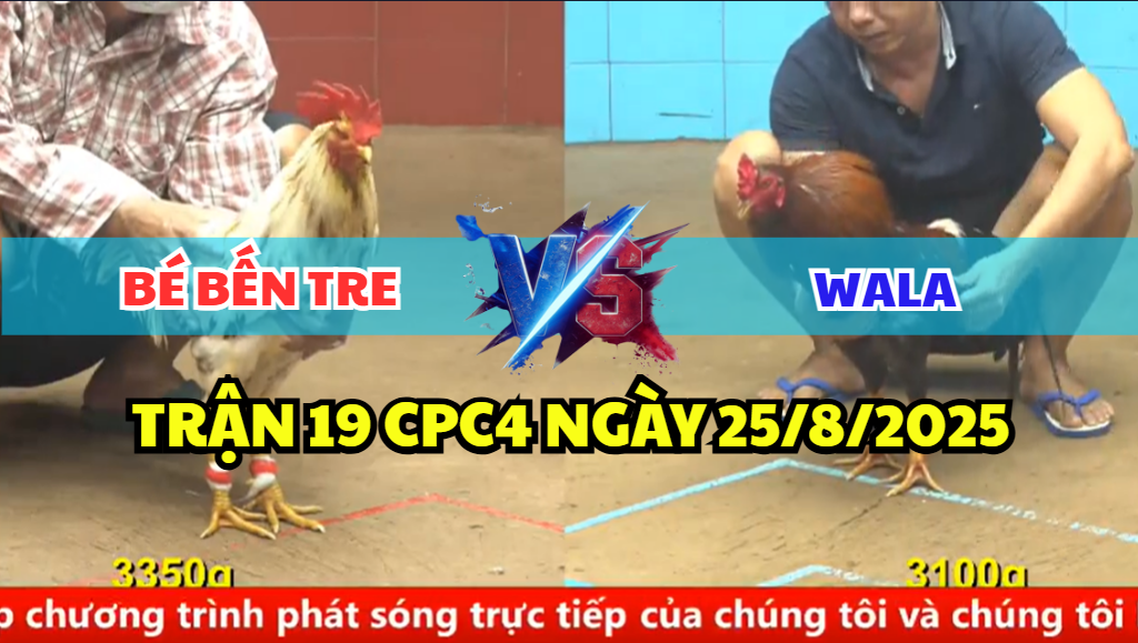 trận 19 cpc4 ngày 25/8/2025 bé bến tre hôm nay
