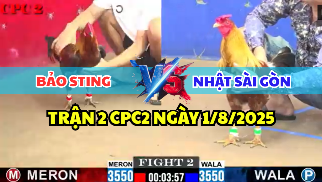 trận 2 cpc2 ngày 1/8/2025 hôm nay giữa bảo sting vs nhật sài gòn