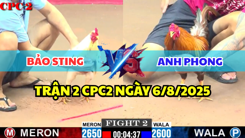 trận 2 cpc2 ngày 6/8/2025 hôm nay giữa bảo sting và anh phong