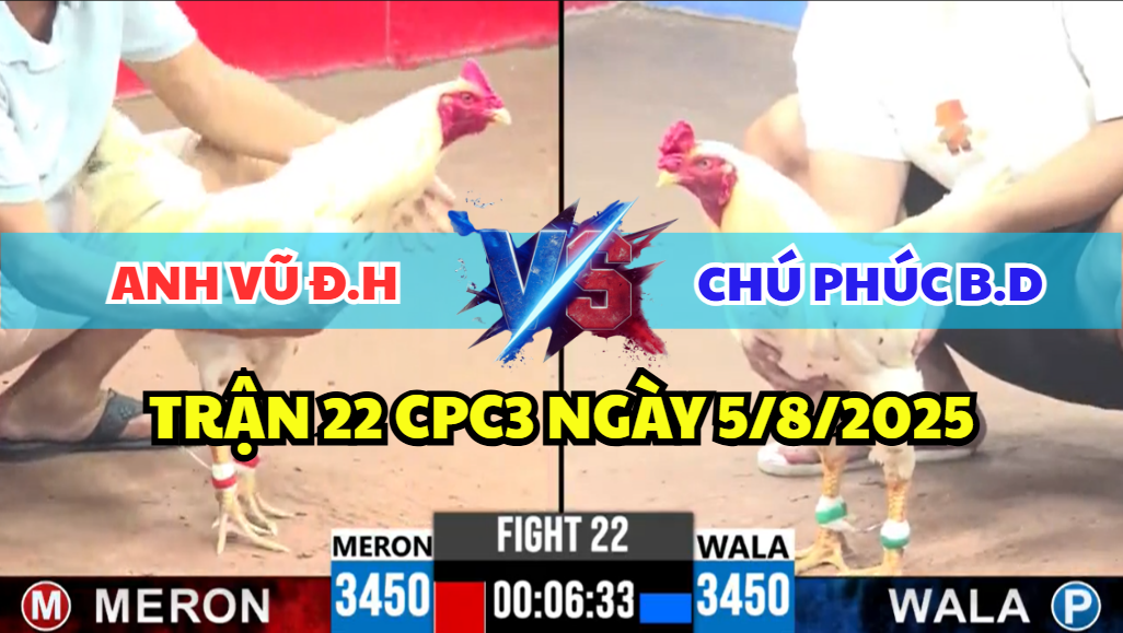 trận 22 cpc3 ngày 5/8/2025 hôm nay giữa anh vũ và chú phúc bình dương