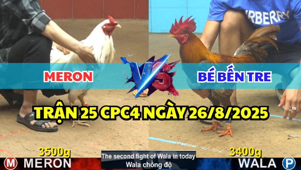 trận 25 cpc4 ngày 26/8/2025 bé bến tre hôm nay