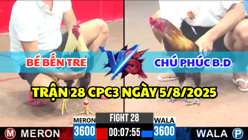 trận 28 cpc3 ngày 5/8/2025 hôm nay giữa chú phúc bình dương và anh bé bến tre
