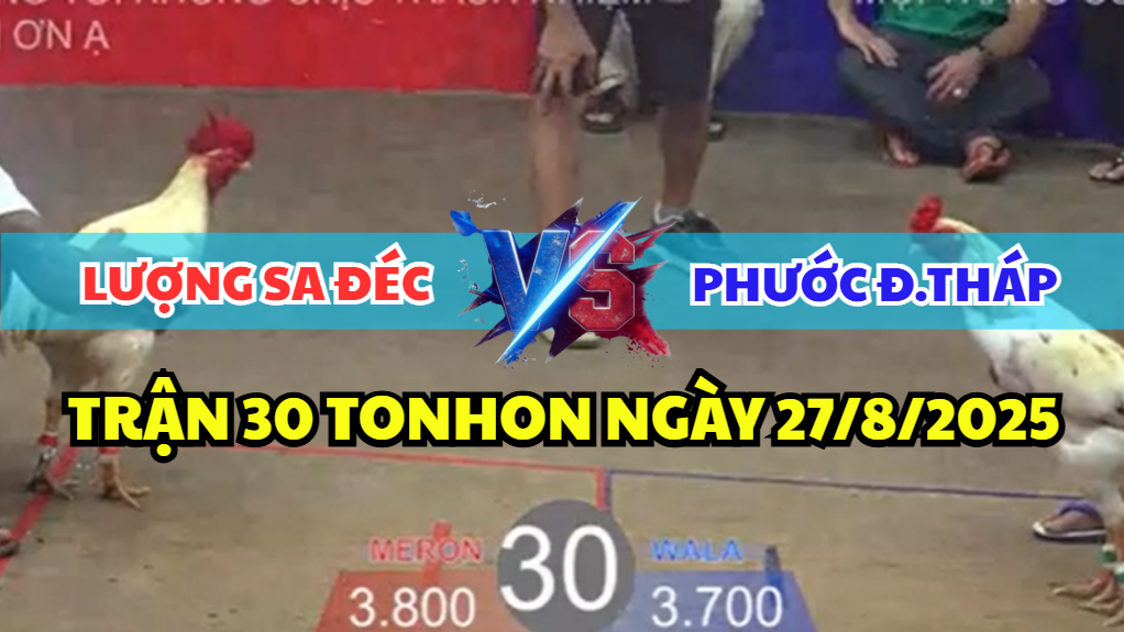 trận 30 bồ tonhon ngày 27/8/2025 hôm nay