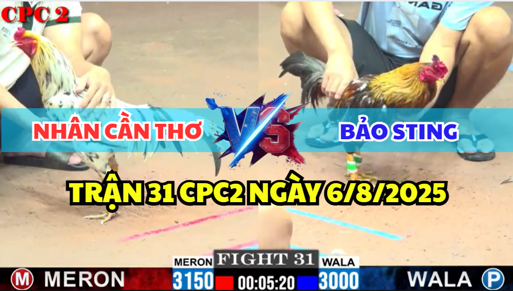 trận 31 cpc2 ngày 6/8/2025 hôm nay giữa bảo sting và nhân cần thơ