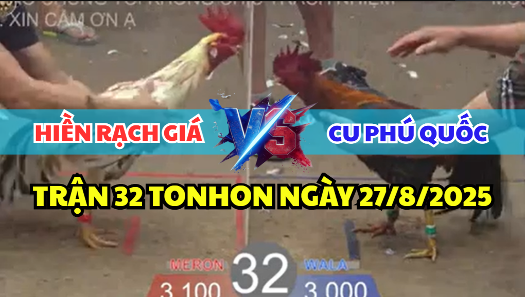 trận 32 bồ tonhon ngày 27/8/2025 hôm nay