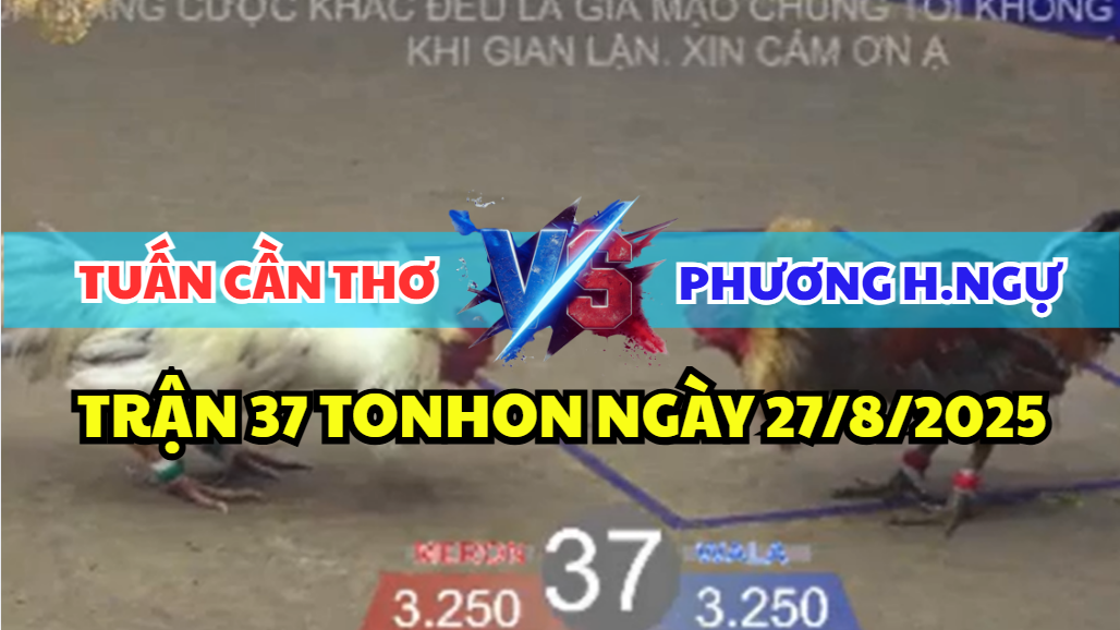 trận 37 bồ tonhon ngày 27/8/2025 hôm nay