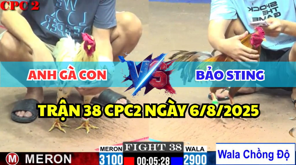 trận 38 cpc2 ngày 6/8/2025 hôm nay giữa bảo sting và anh gà con