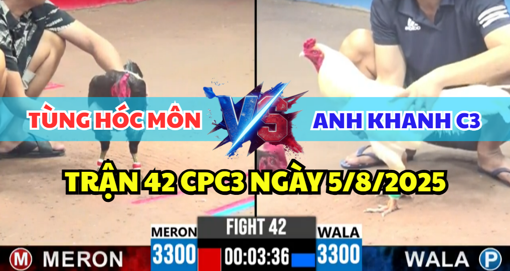 trận 42 cpc3 ngày 5/8/2025 hôm nay giữa anh khanh c3 và tùng hóc môn