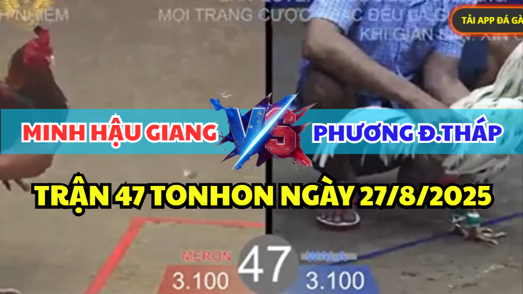 trận 47 bồ tonhon ngày 27/8/2025 hôm nay
