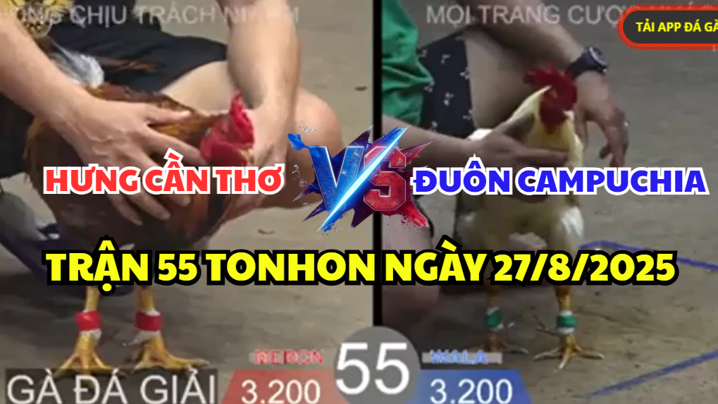 trận 55 bồ tonhon ngày 27/8/2025 hôm nay giữa hưng cần thơ vs đuôn cpc