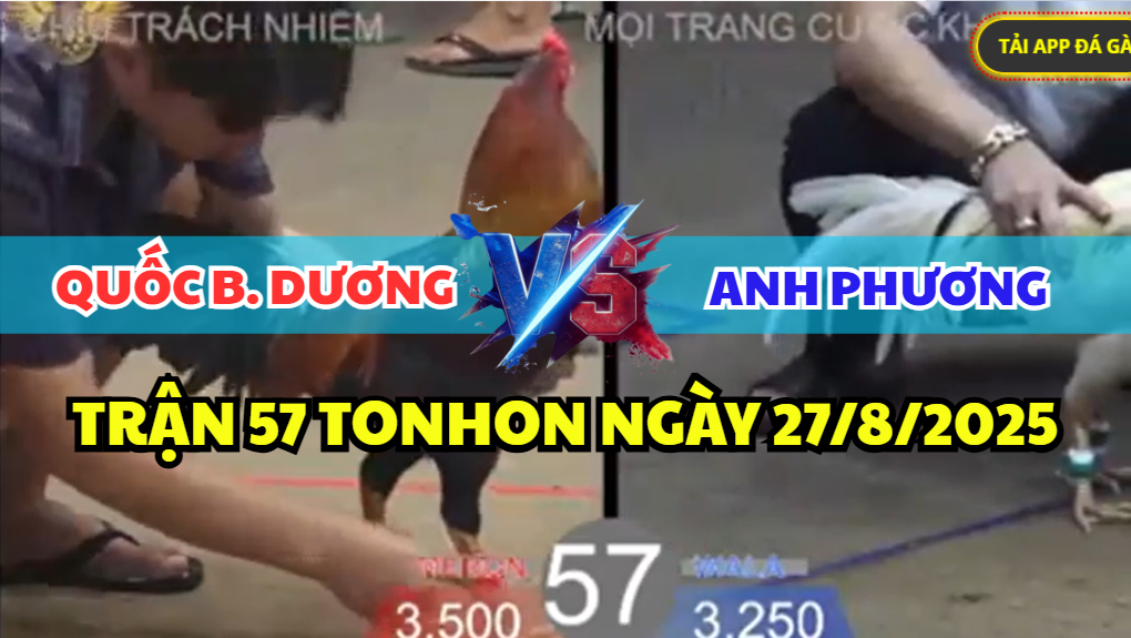 trận 57 bồ tonhon ngày 27/8/2025 hôm nay bảo sting thả gà