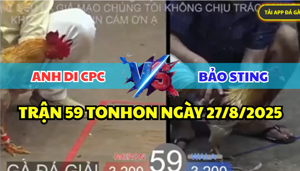 trận 59 bồ tonhon ngày 27/8/2205 hôm nay giữa bảo sting vs anh di cpc