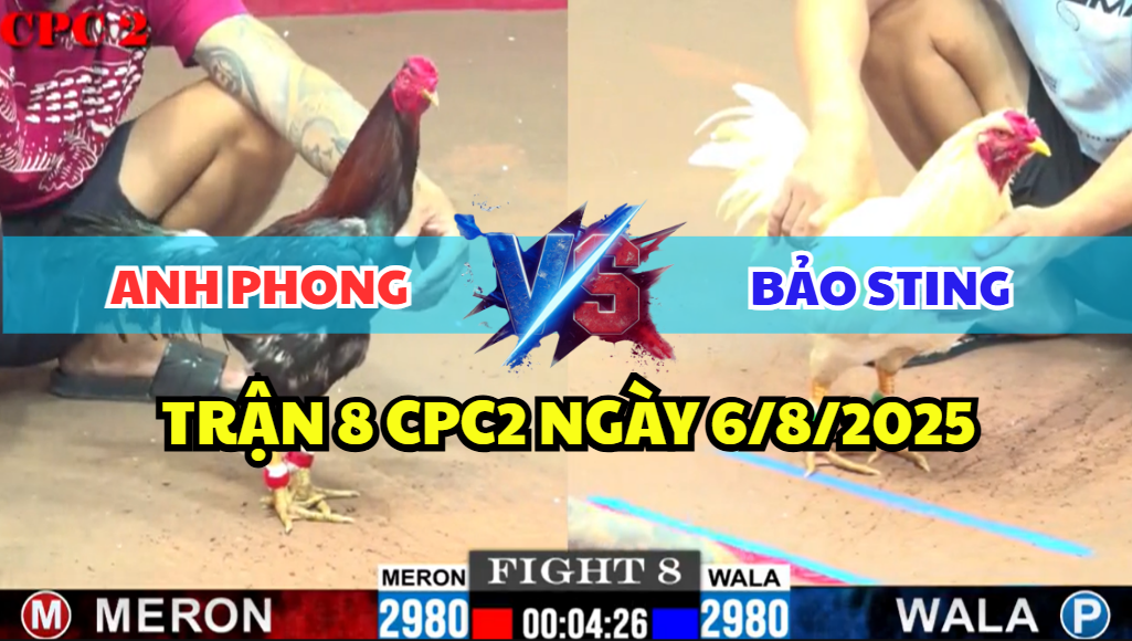 trận 8 cpc2 ngày 6/8/2025 hôm nay giữa bảo sting và anh phong