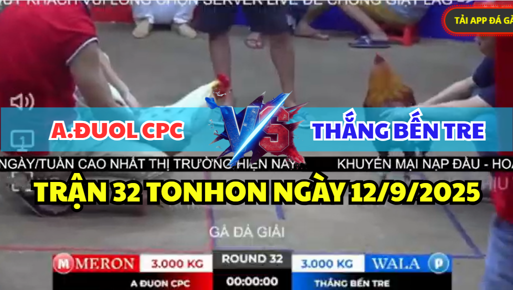 trận 32 tonhon ngày 12/9/2025 hôm nay