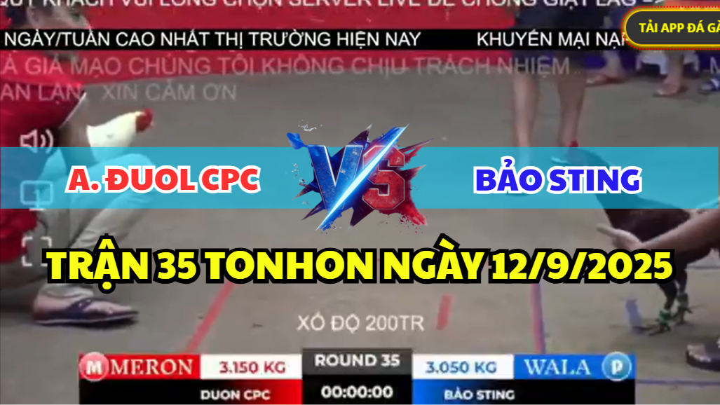 trận 35 tonhon ngày 12/9/2025 hôm nay giữa bảo sting vs anh đuol cpc
