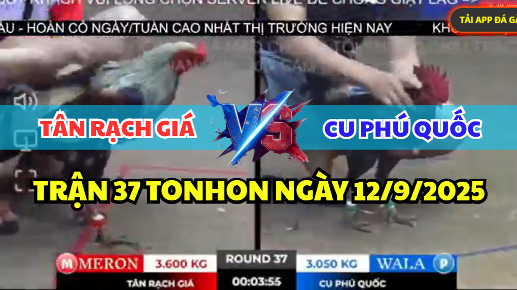 trận 37 tonhon ngày 12/9/2025 hôm nay giữa tân rạch giá vs cu phú quốc