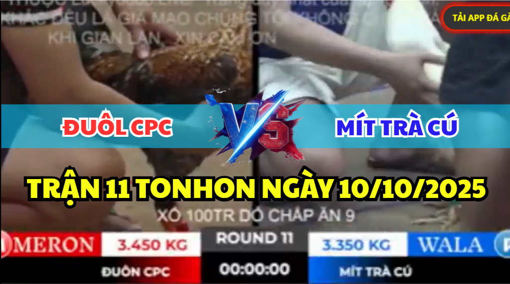 trận 11 tonhon ngày 10/10/2025 hôm nay giữa mít trà cú vs đuôl cpc
