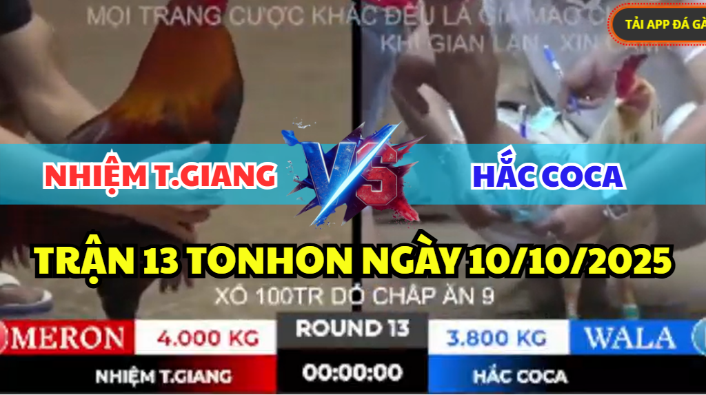 trận 13 tonhon ngày 10/10/2025 hôm nay giữa anh nhiệm tiền giang vs hắc coca