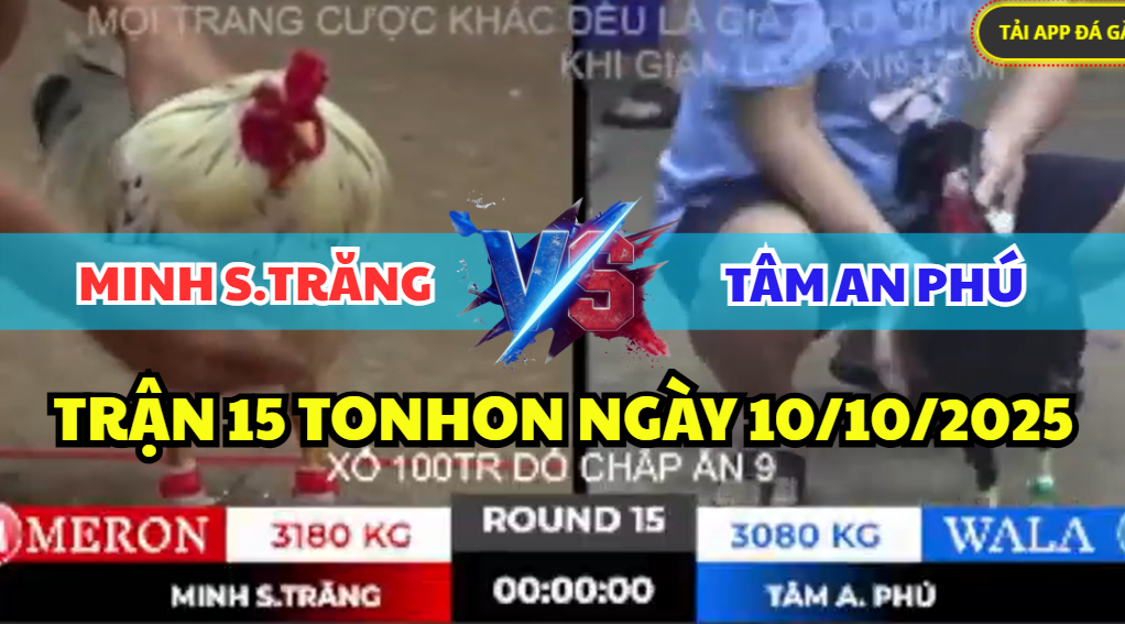 trận 15 tonhon ngày 10/10/2025 hôm nay giữa minh sóc trăng vs tâm an phú