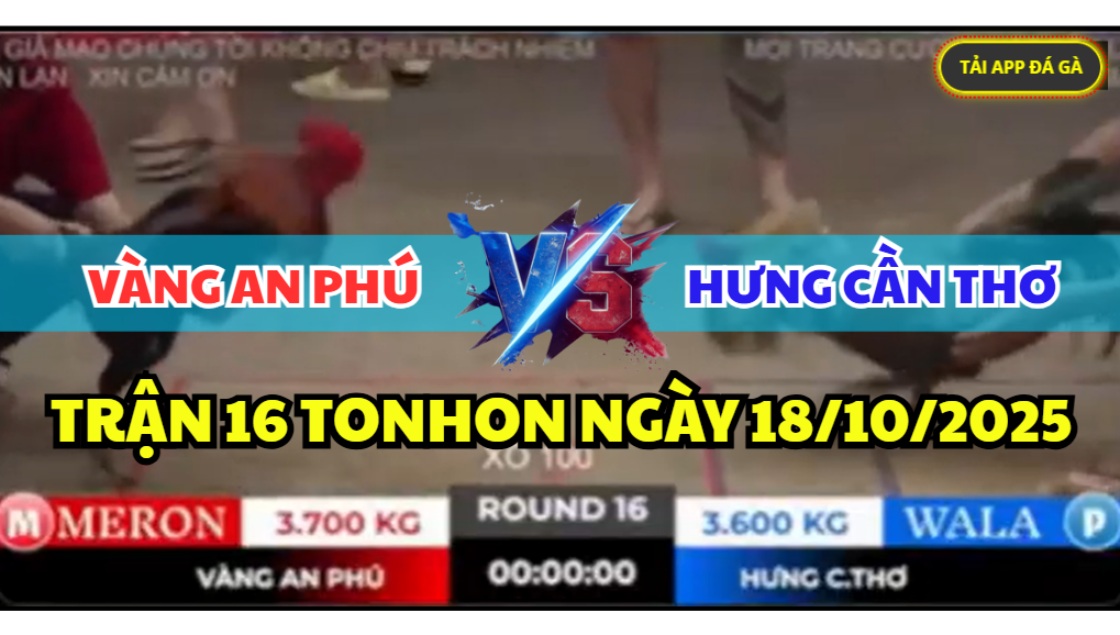 trận 16 tonhon ngày 18/10/2025 hôm nay giữa anh hưng cần thơ vs anh vàng an phú