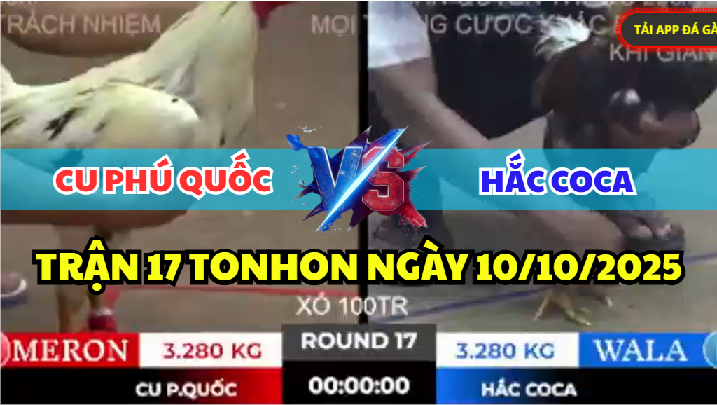trận 17 tonhon ngày 10/10/2025 hôm nay giữa cu phú quốc vs hắc coca