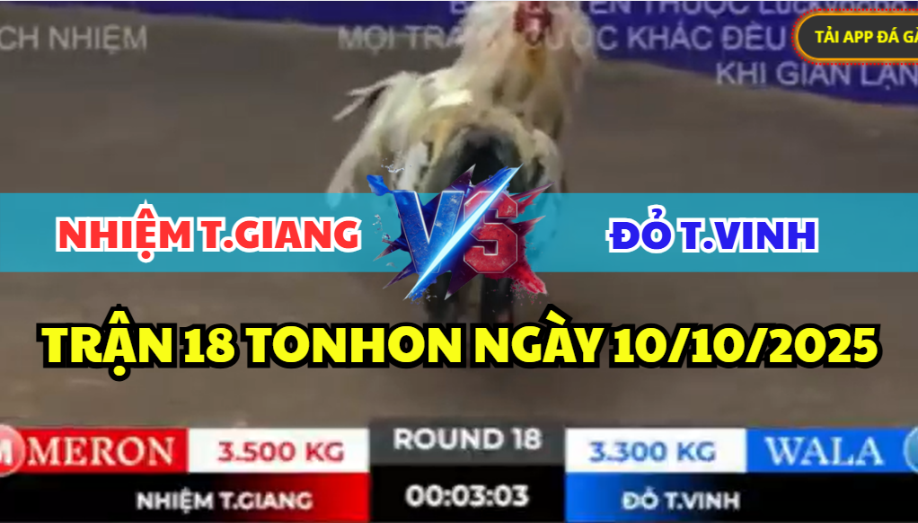 trận 18 tonhon ngày 10/10/2025 hôm nay giữa nhiệm tiền giang vs đỏ trà vinh