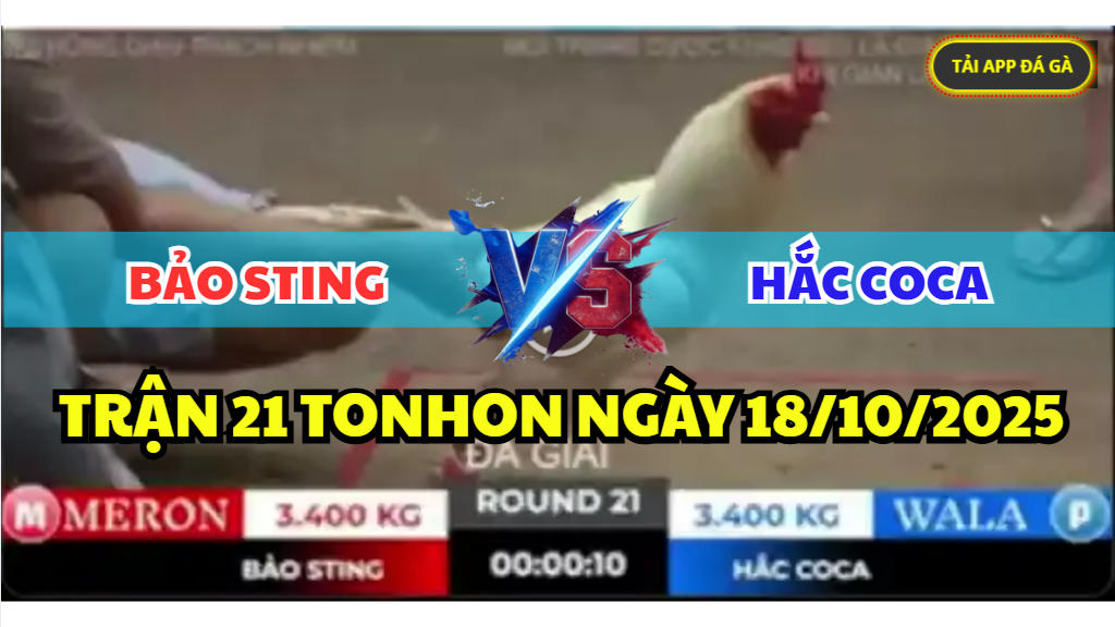 trận 21 tonhon ngày 18/10/2025 hôm nay giữa bảo sting vs hắc coca
