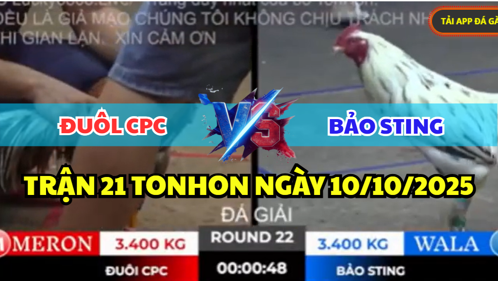 trận 22 tonhon ngày 10/10/2025 hôm nay giữa bảo sting đuôl cpc
