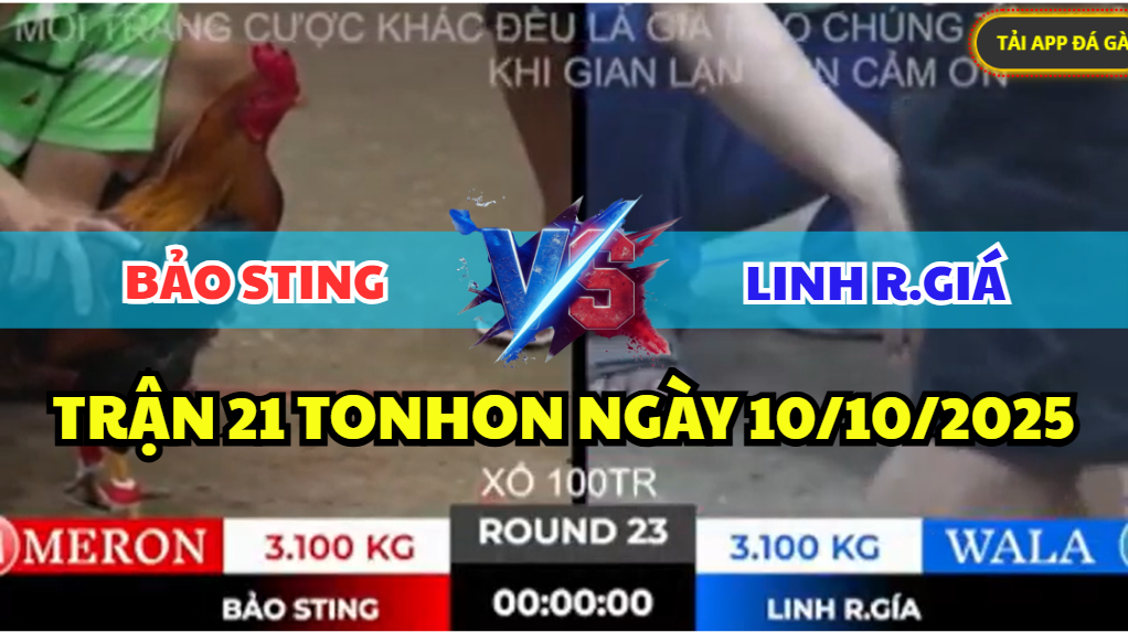 trận 23 tonhon ngày 10/10/2025 hôm nay giữa bảo sting vs linh rạch giá