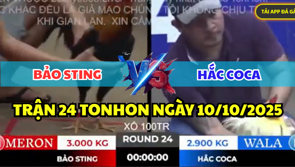 trận 24 tonhon ngày 10/10/2025 hôm nay giữa bảo sting vs hắc coca