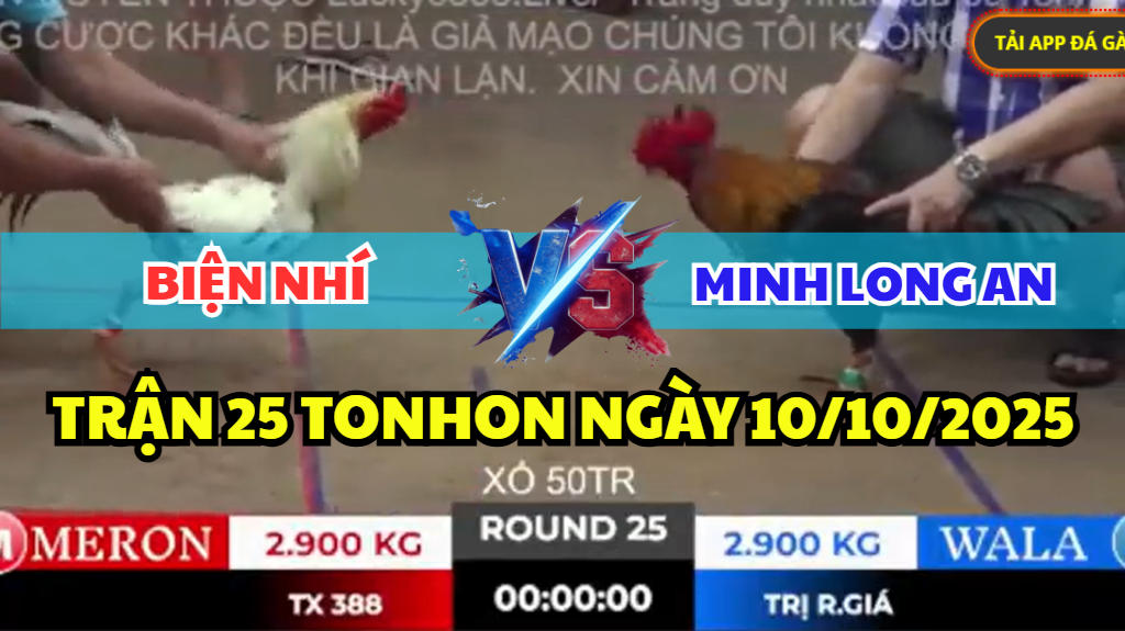 trận 25 tonhon ngày 10/10/2025 hôm nay giữa má minh vs biện nhí