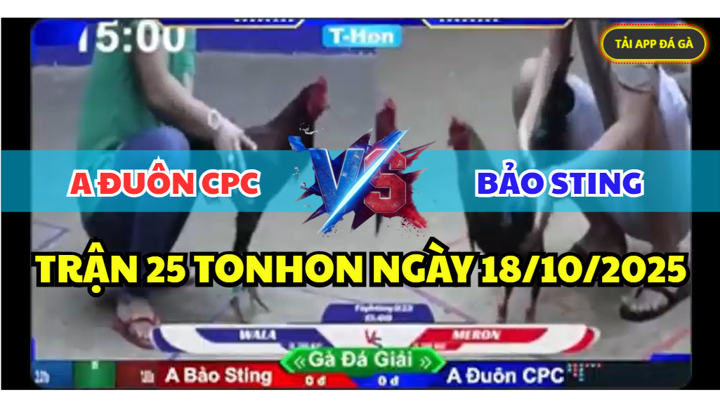 trận 25 tonhon ngày 18/10/2025 hôm nay giữa bảo sting vs anh đuôn cpc