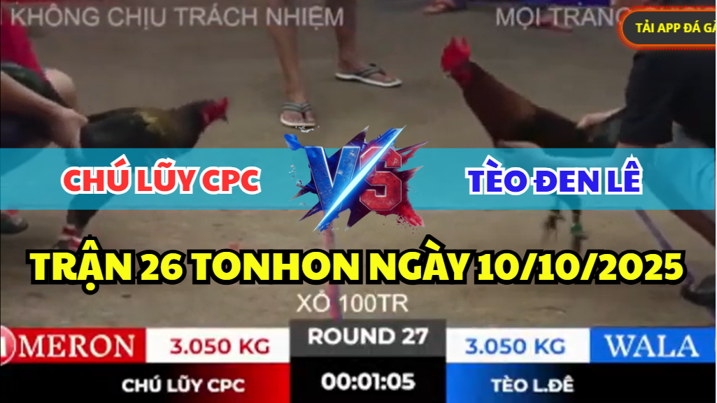 trận 27 tonhon ngày 10/10/2025 hôm nay