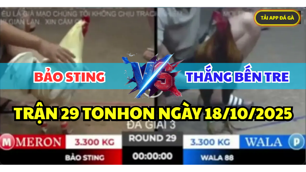 trận 29 tonhon ngày 18/10/2025 hôm nay giữa bảo sting vs thắng bến tre