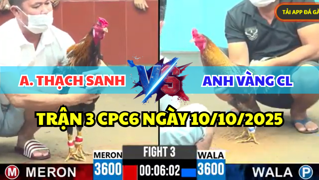 trận 3 cpc6 ngày 13/10/2025 hôm nay
