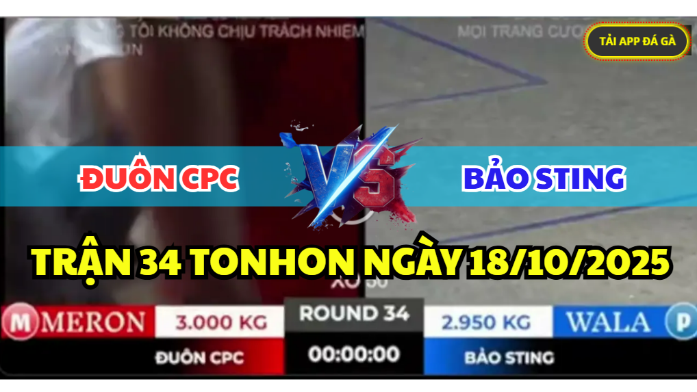 trận 34 tonhon ngày 18/10/2025 hôm nay giữa anh bảo sting vs anh đuôn cpc
