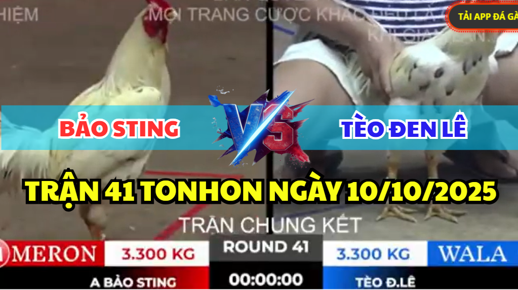 trận 41 tonhon ngày 10/10/2025 hôm nay trận chung kết giữa bảo sting vs tèo đen lê